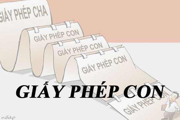 RICHE LAW Hỗ Trợ Xin Giấy Phép Con Nhanh Chóng, Đúng Quy Định Pháp Luật 9 images 13